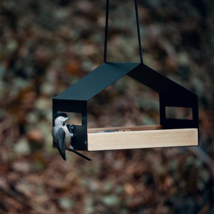 Outdoor Hanging Bird Feeder Garden Decor
