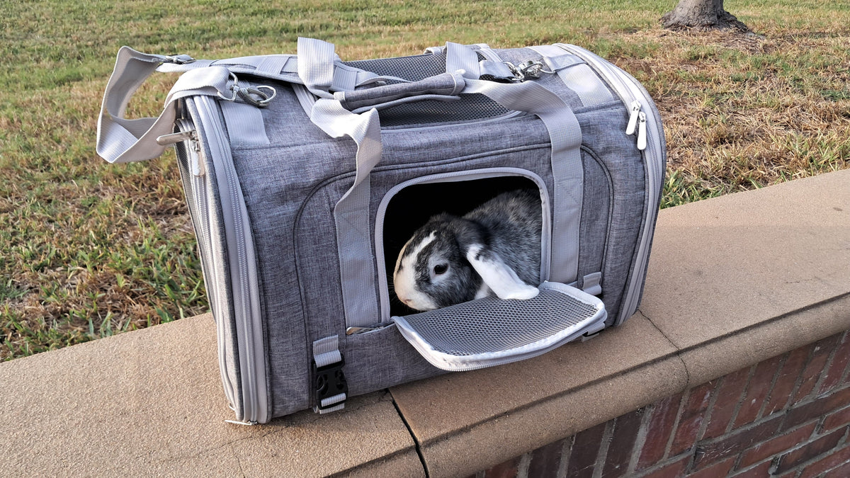 Mr. Peanut’s Monterey Horizontal Backpack Pet Carrier