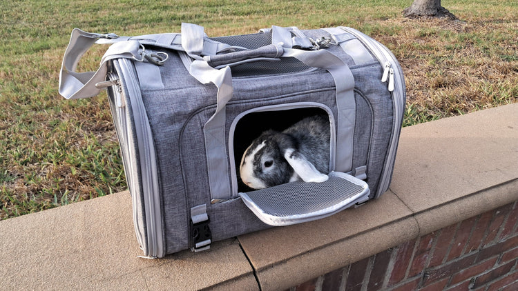 Mr. Peanut’s Monterey Horizontal Backpack Pet Carrier