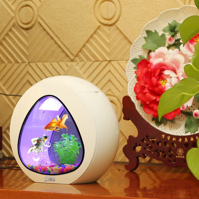 Desktop Fish Tank Aquarium for Home & Office