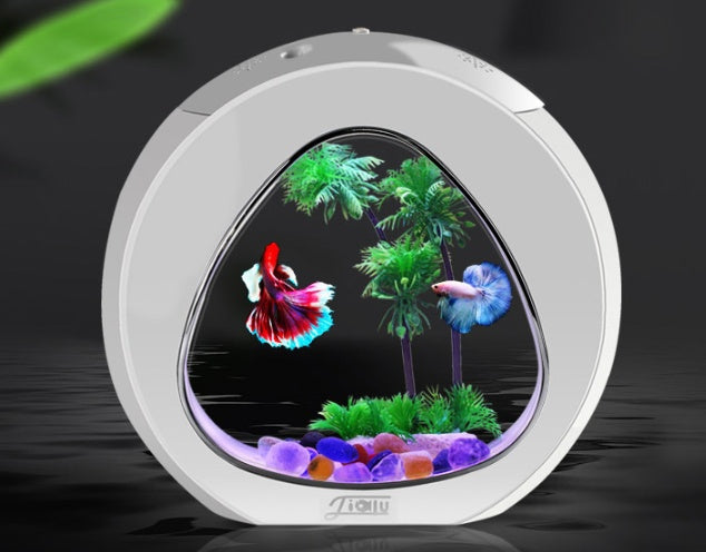 Desktop Fish Tank Aquarium for Home & Office