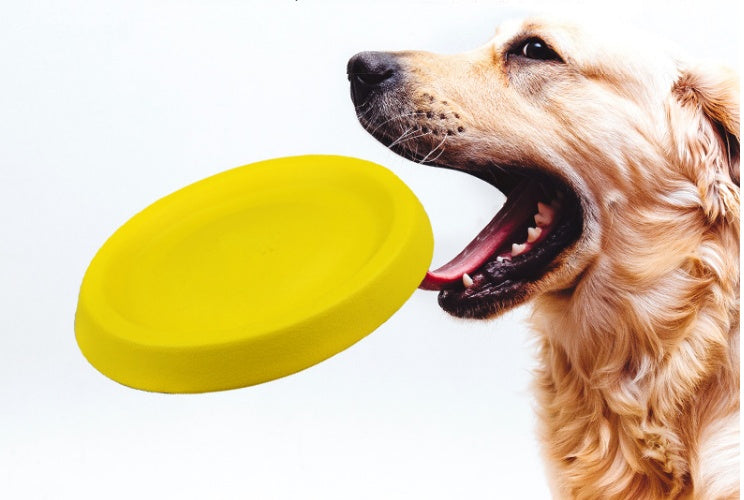 Pet Dog Throwing Plastic Interactive Toy