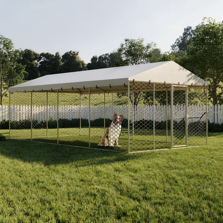 10x20 FT Large Outdoor Dog Kennel