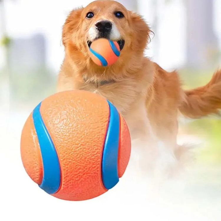 Dog Fetch Ball Tough Elastic Chew Toy