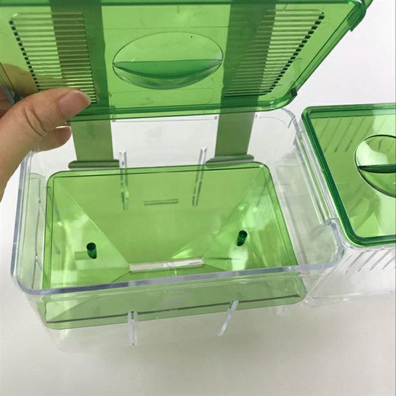 Guppy Fish Hatching Isolation Box
