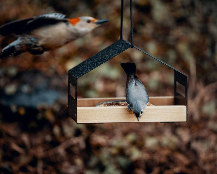 Outdoor Hanging Bird Feeder Garden Decor