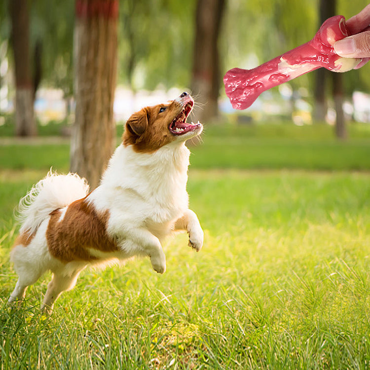 Dog Molar Rubber Chew Toy Bone Stick