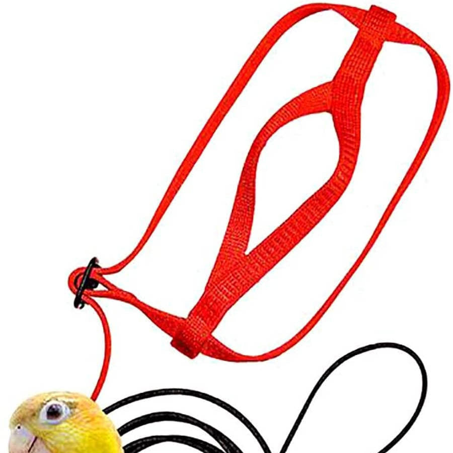 Parrot Flying Rope Bird Harness for Safety