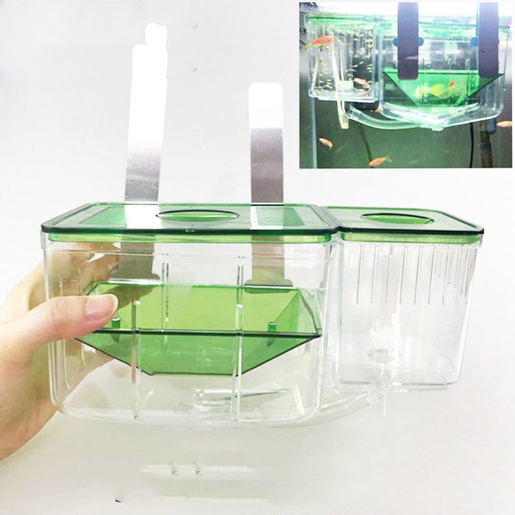 Guppy Fish Hatching Isolation Box