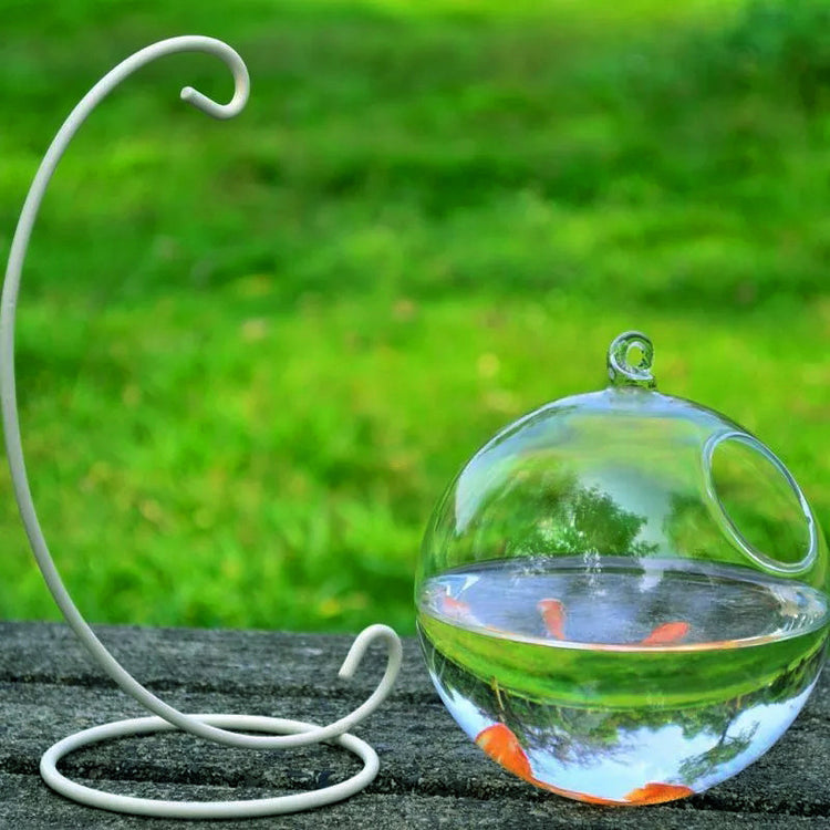 Hanging Glass Vase Fish Tank..
