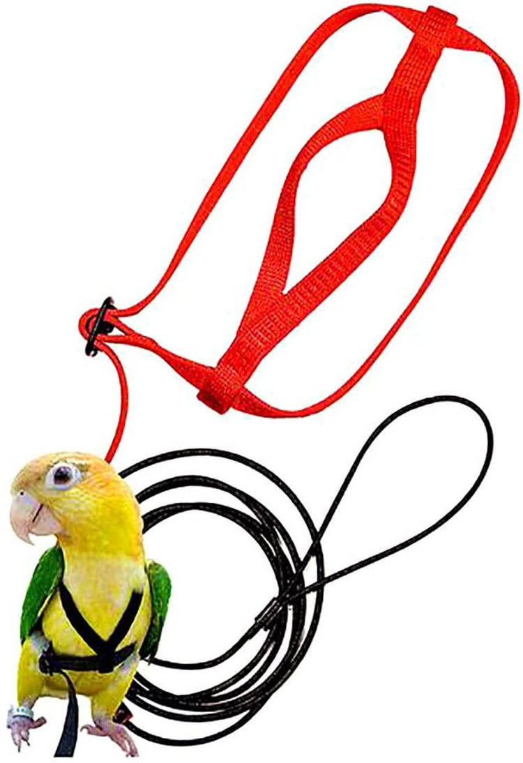 Parrot Flying Rope Bird Harness for Safety
