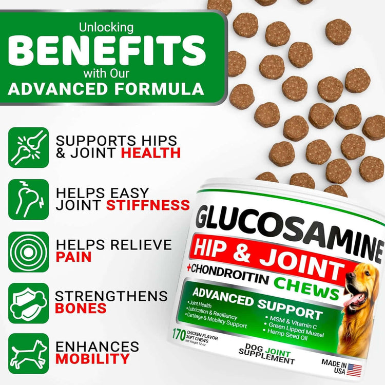 Pet Hip & Joint Supplement Chondroitin