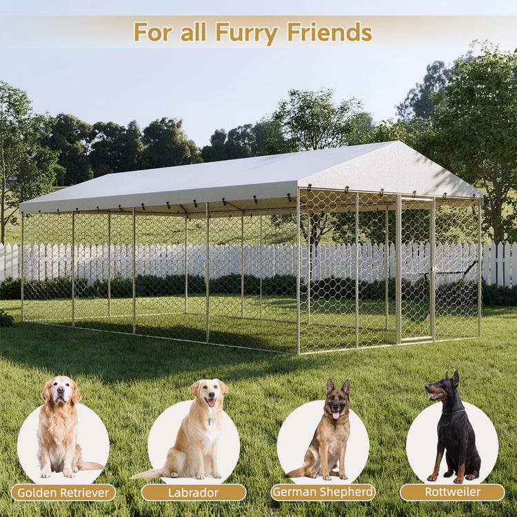 10x20 FT Large Outdoor Dog Kennel