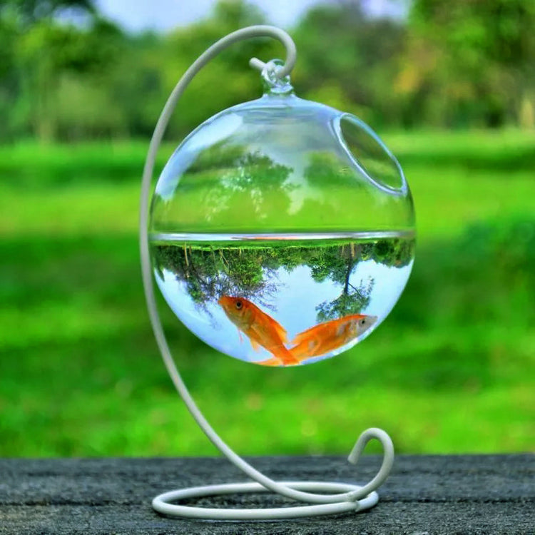 Hanging Glass Vase Fish Tank..