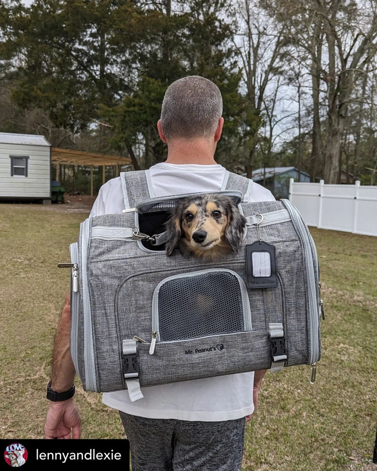 Mr. Peanut’s Monterey Horizontal Backpack Pet Carrier