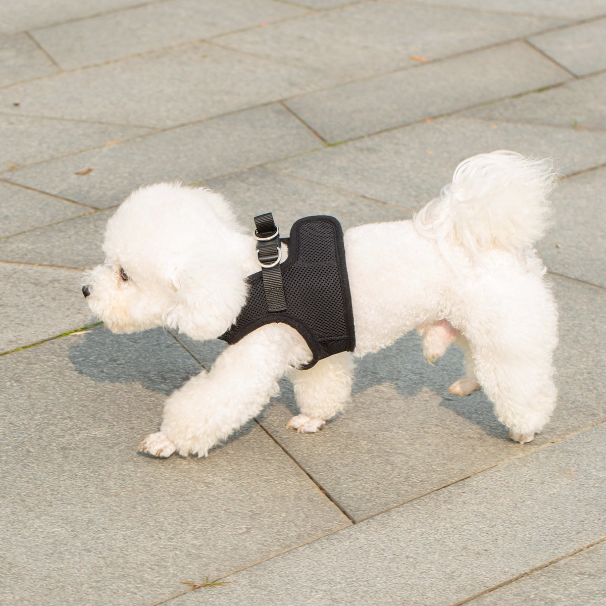 Mr. Peanut's PupTrek Soft Mesh Harness with Matching Leash for Small Dogs