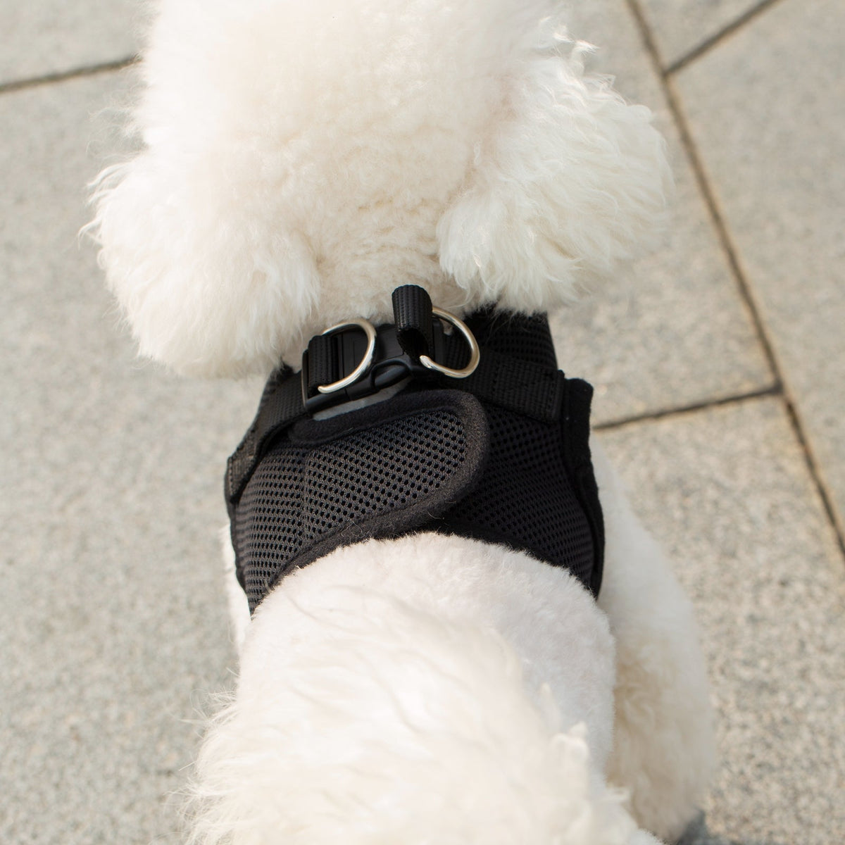 Mr. Peanut's PupTrek Soft Mesh Harness with Matching Leash for Small Dogs