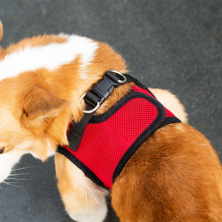 Mr. Peanut's PupTrek Soft Mesh Harness with Matching Leash for Small Dogs
