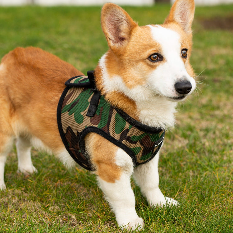 Mr. Peanut's PupTrek Soft Mesh Harness with Matching Leash for Small Dogs