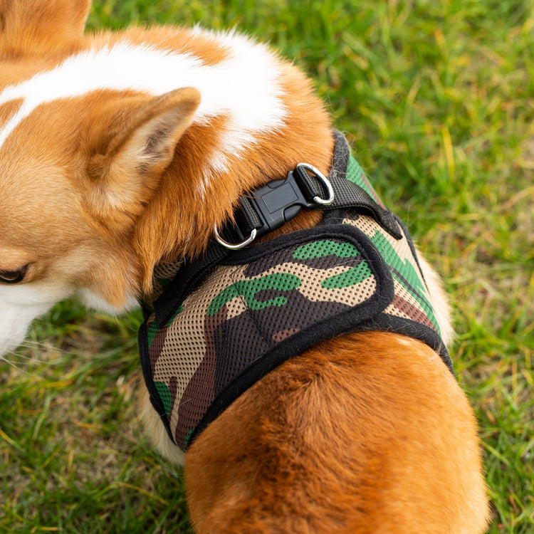 Mr. Peanut's PupTrek Soft Mesh Harness with Matching Leash for Small Dogs