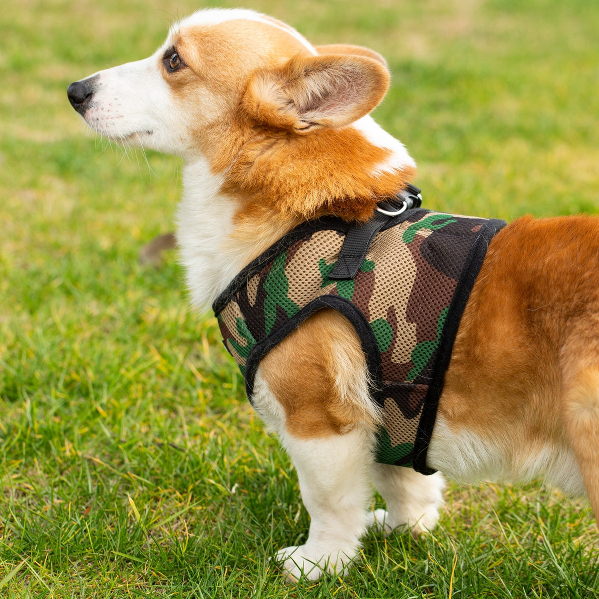Mr. Peanut's PupTrek Soft Mesh Harness with Matching Leash for Small Dogs