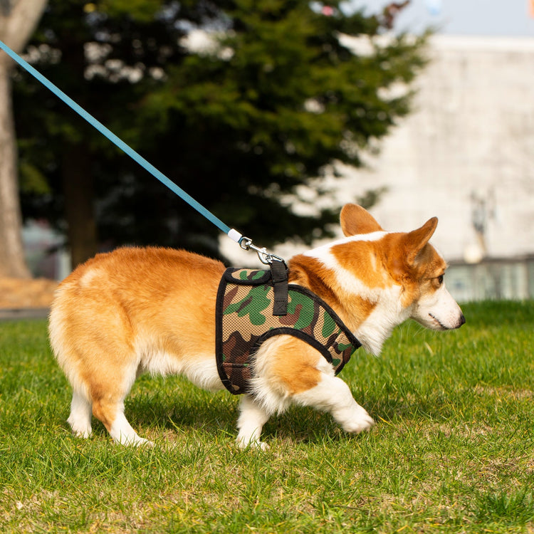 Mr. Peanut's PupTrek Soft Mesh Harness with Matching Leash for Small Dogs
