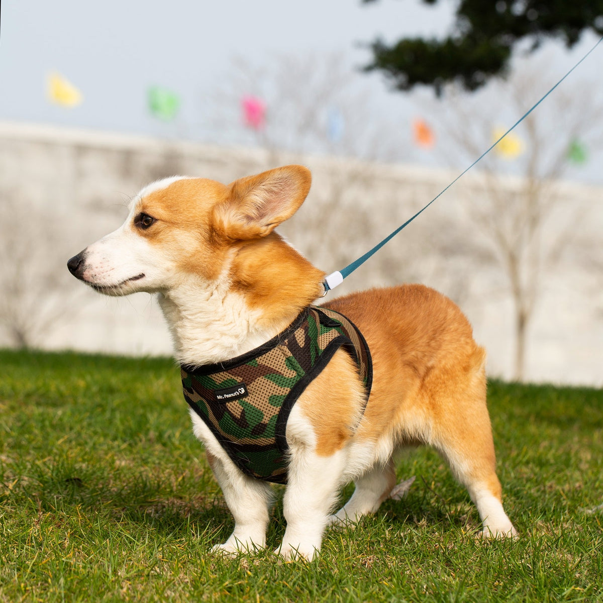Mr. Peanut's PupTrek Soft Mesh Harness with Matching Leash for Small Dogs
