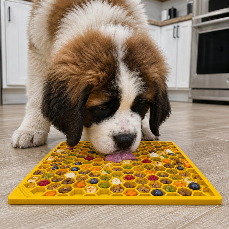 SodaPup Honeycomb eMat Enrichment Lick Mat for Dogs and Cats