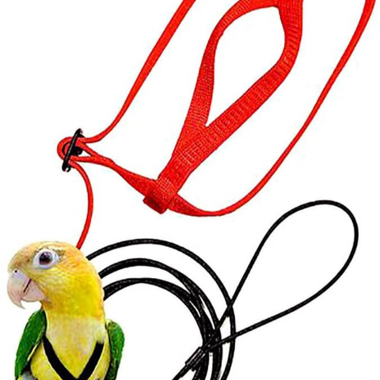 Parrot Flying Rope Bird Harness for Safety