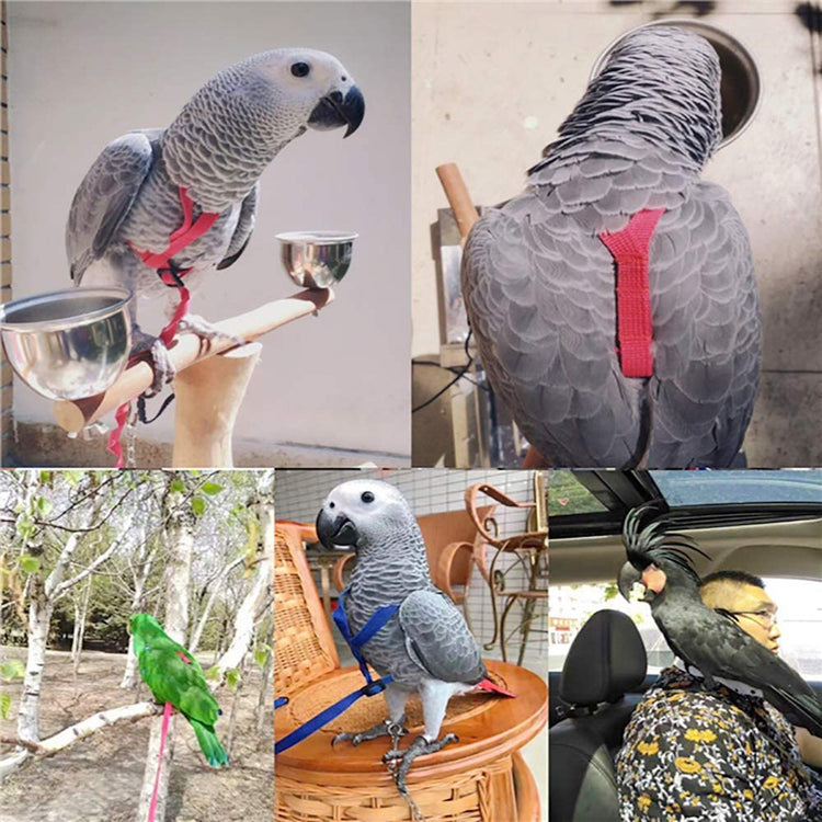 Parrot Flying Rope Bird Harness for Safety