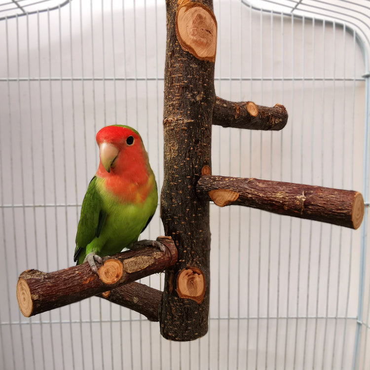 Parrot Bird Wood Stand Pole Toy for Birds