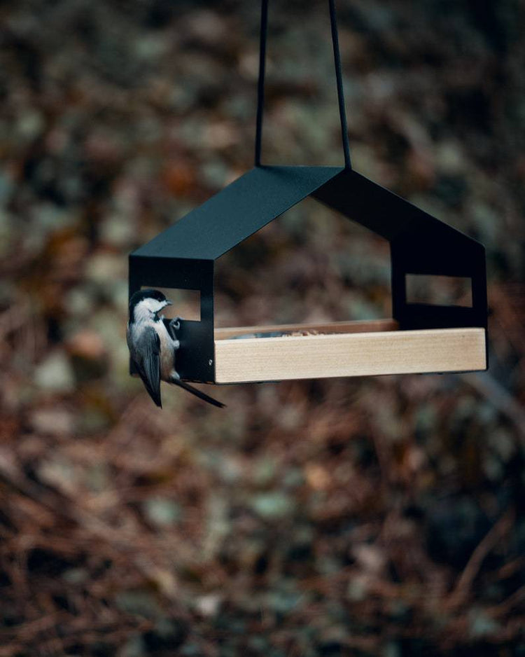 Outdoor Hanging Bird Feeder Garden Decor