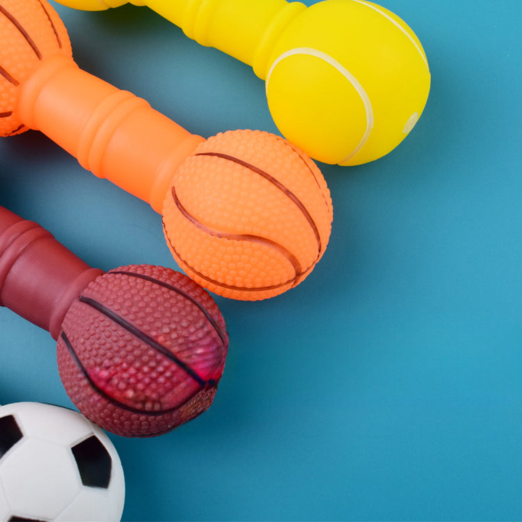 Squeaky Dog Football Dumbbell Chew Toy