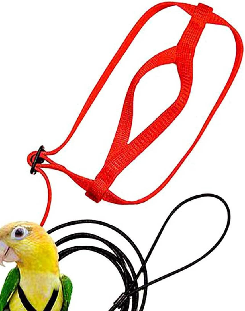 Parrot Flying Rope Bird Harness for Safety