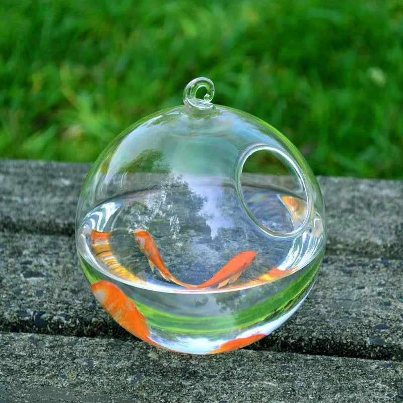 Hanging Glass Vase Fish Tank..