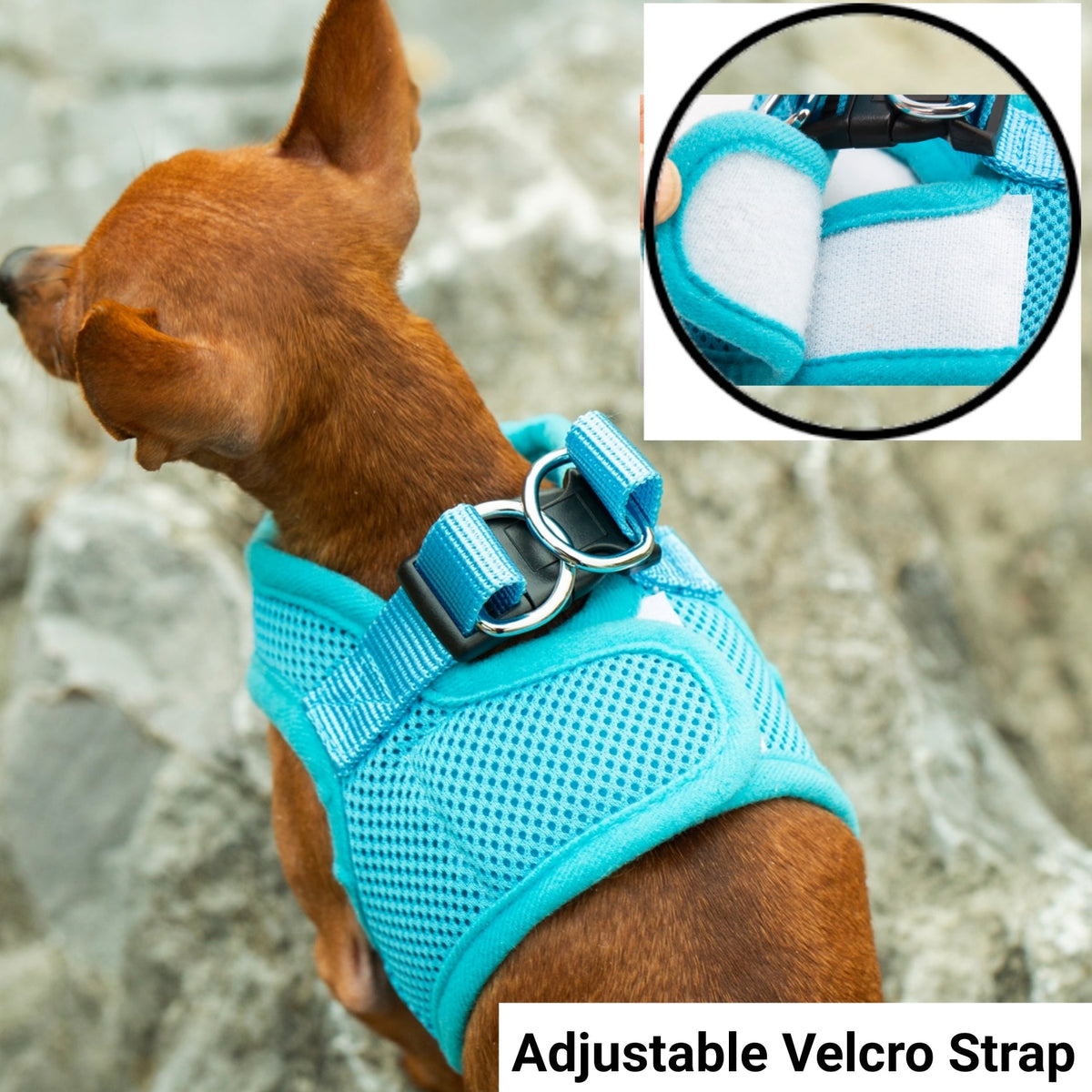 Mr. Peanut's PupTrek Soft Mesh Harness with Matching Leash for Small Dogs