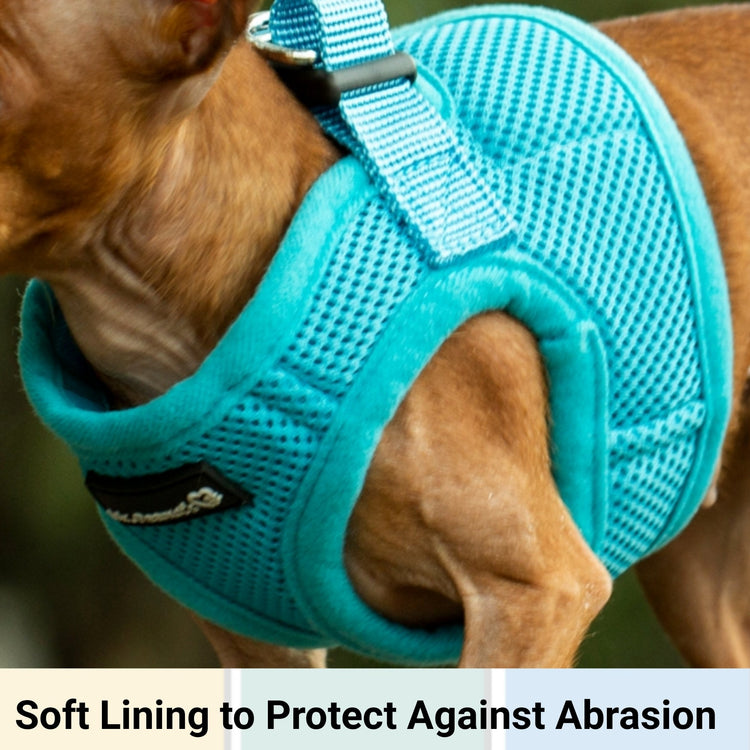 Mr. Peanut's PupTrek Soft Mesh Harness with Matching Leash for Small Dogs