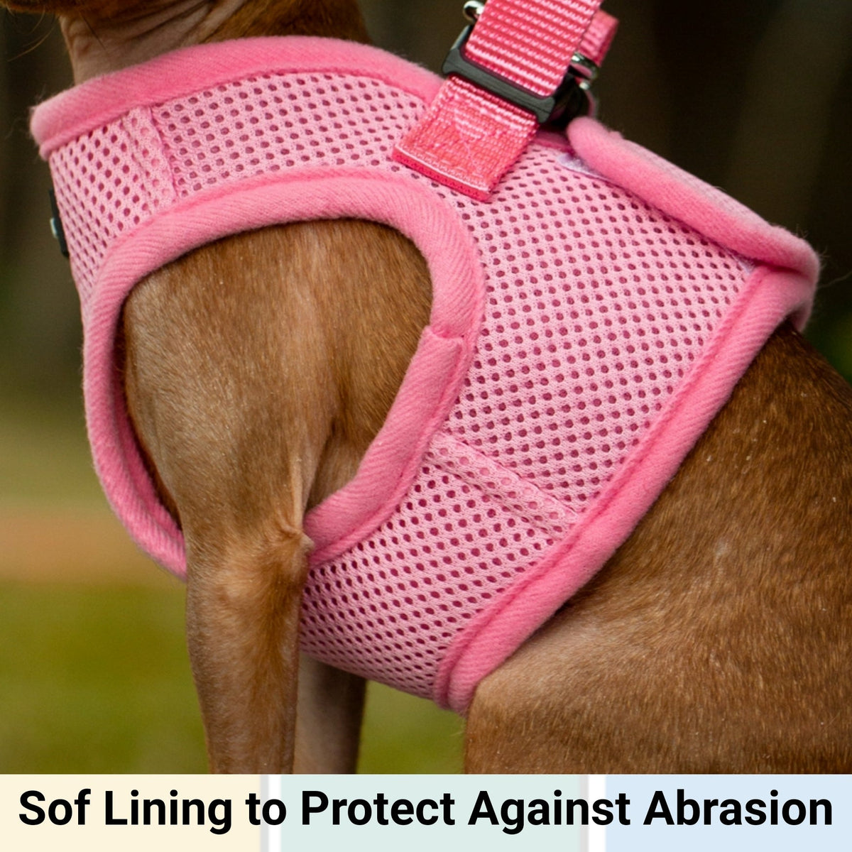 Mr. Peanut's PupTrek Soft Mesh Harness with Matching Leash for Small Dogs