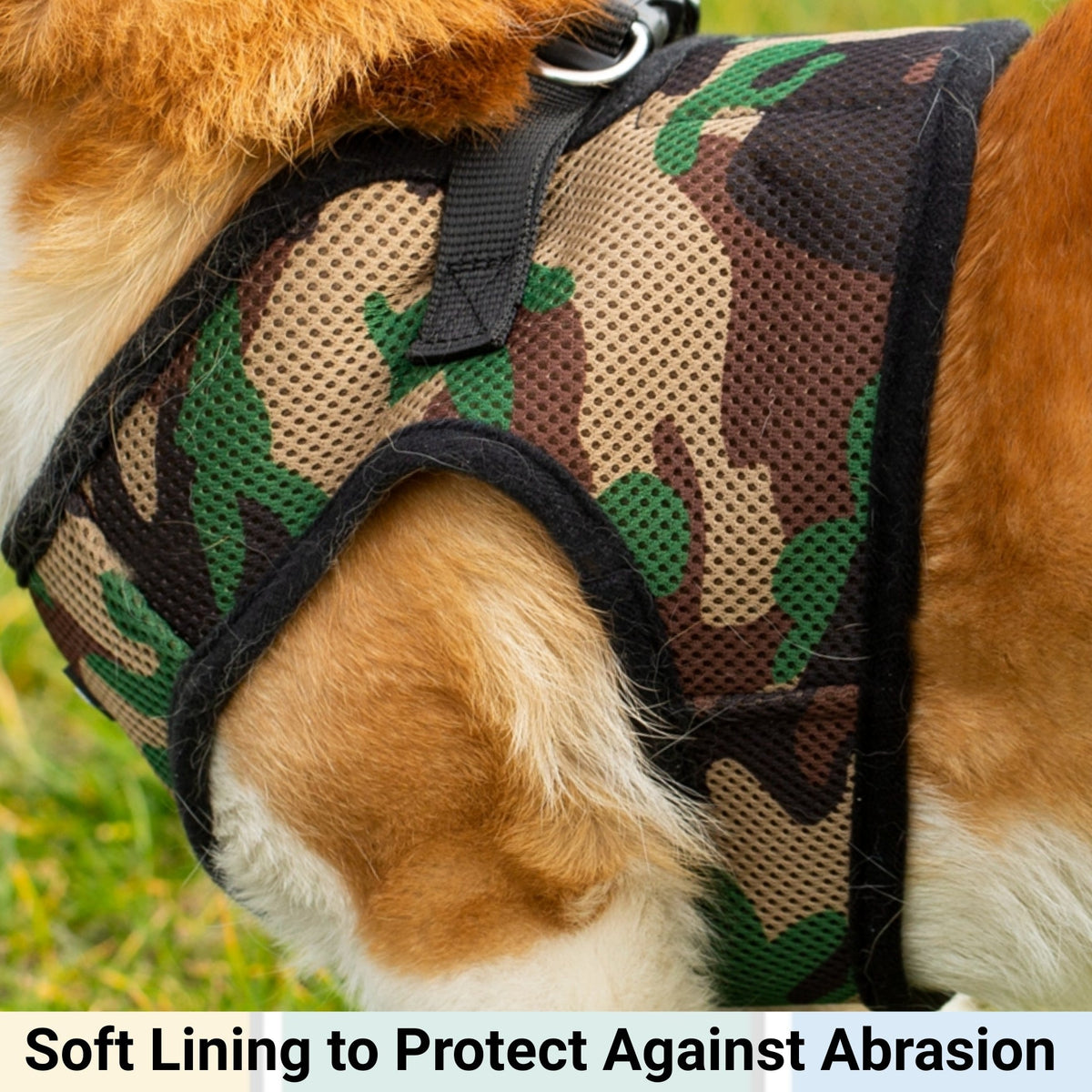 Mr. Peanut's PupTrek Soft Mesh Harness with Matching Leash for Small Dogs