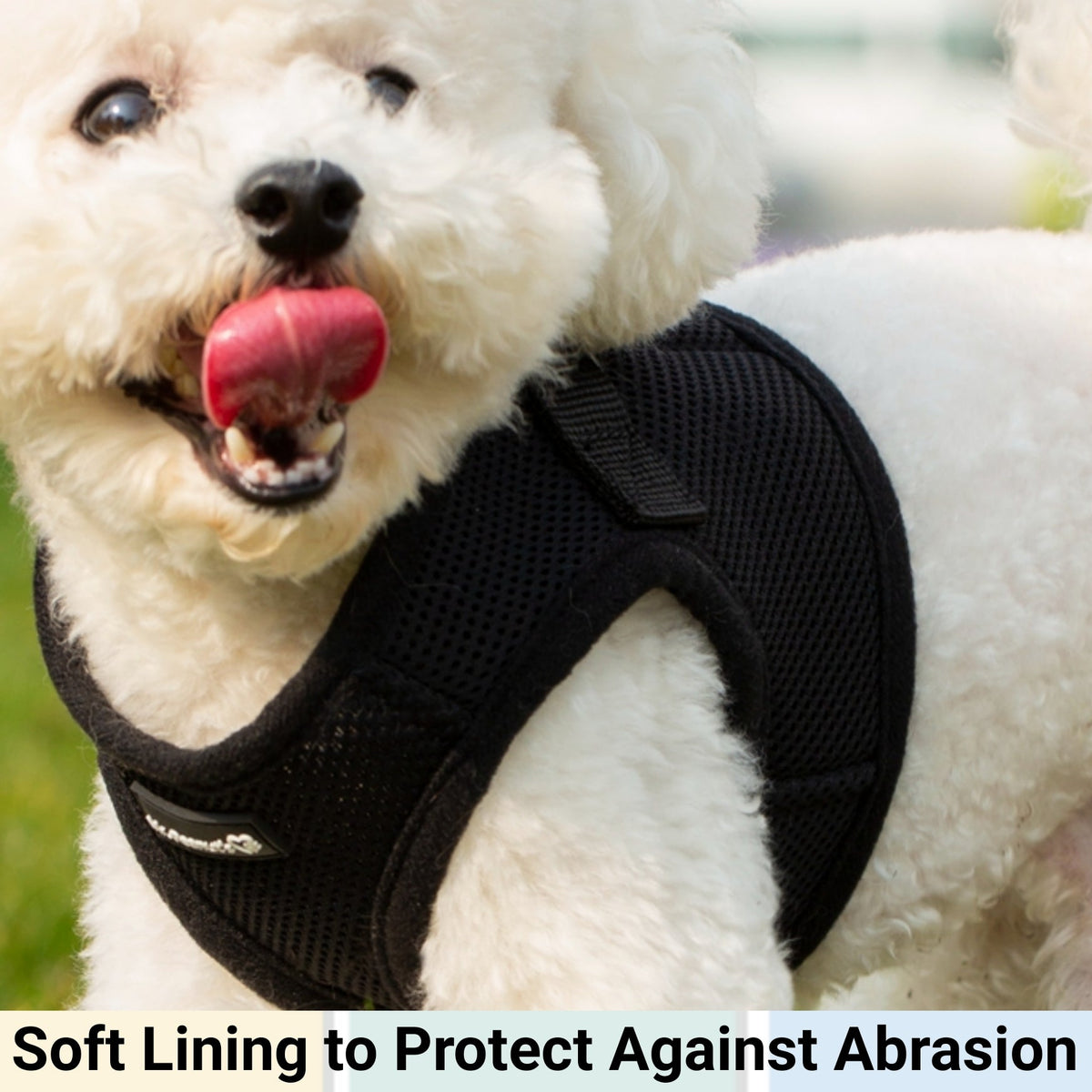 Mr. Peanut's PupTrek Soft Mesh Harness with Matching Leash for Small Dogs