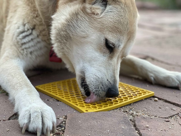 SodaPup Honeycomb eMat Enrichment Lick Mat for Dogs and Cats